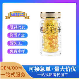灵芝孢子油胶囊 特殊膳食厂家批发OEM/ODM定制贴牌代工量大从优