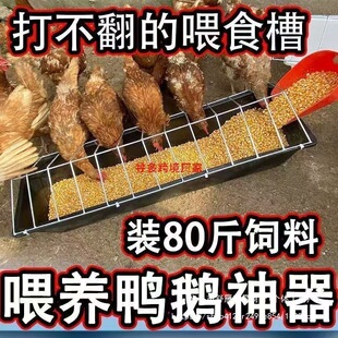 ʳ���L����ι�u�u�L�l�β��¿�ʳ���L�lˮ��ʳ��ι�u�ɝ���ú�ˮ