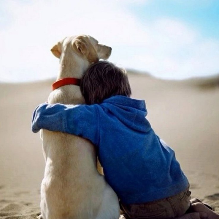 Byrne internal worm removal dog medicine in vivo deworming…
