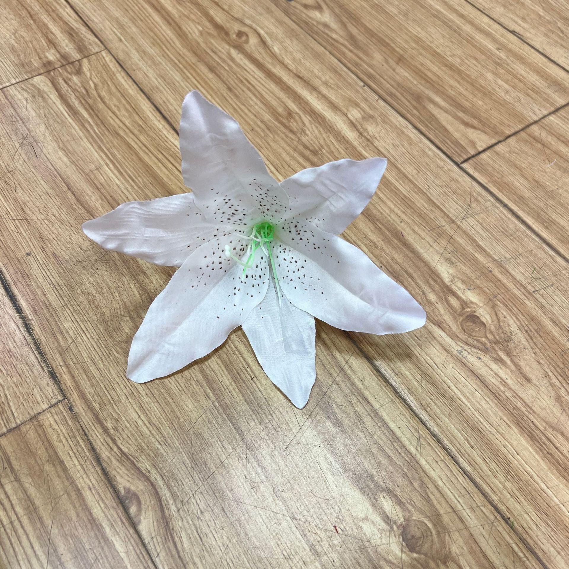 모든 흰색 (코어 없음)