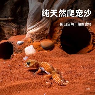 Climbing Pet Natural Calcium Sand Shougong Lizard Reptile Landscape Sand Stone Spider Scorpion Feeding Box Cushion Moisture Absorption and Deodorization