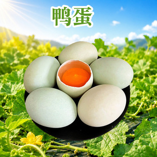 ���l�����r��ɢ�B������ ���l10/20öɢ�B�GƤ���������G���rˮ��