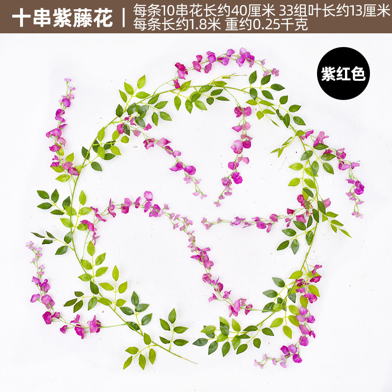 등나무 꽃 10 현-자홍색