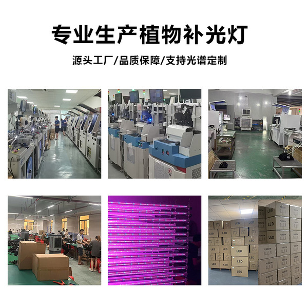LED plant lamp