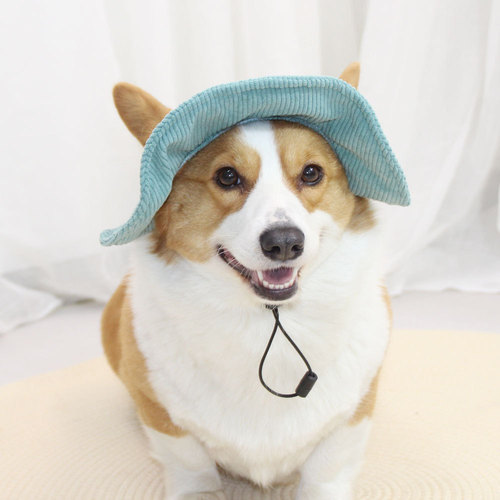 Pet it cute dog hat with exposed ears, pet fisherman hat, sunshade dress, corgi, sunscreen, little yellow hat, Amazon