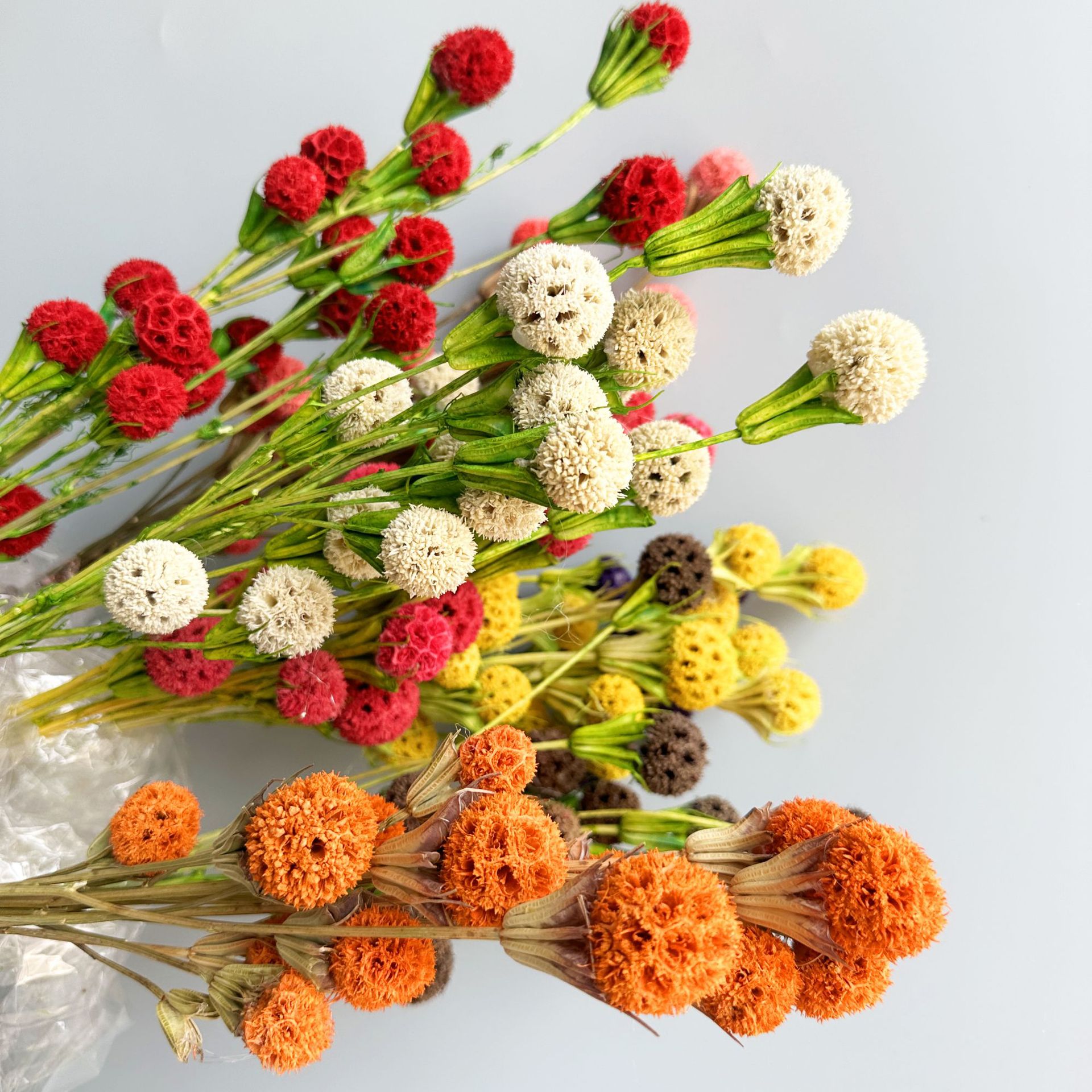 Perennial Flower Dried Flower Lulutong Handmade Combination Glued Dried Flower Creative Bouquet Home Decoration Material Factory Wholesale