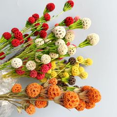 Perennial Flower Dried Flower Lulutong Handmade Combination Glued Dried Flower Creative Bouquet Home Decoration Material Factory Wholesale