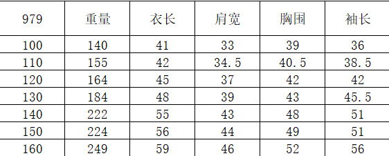 979尺码表.png