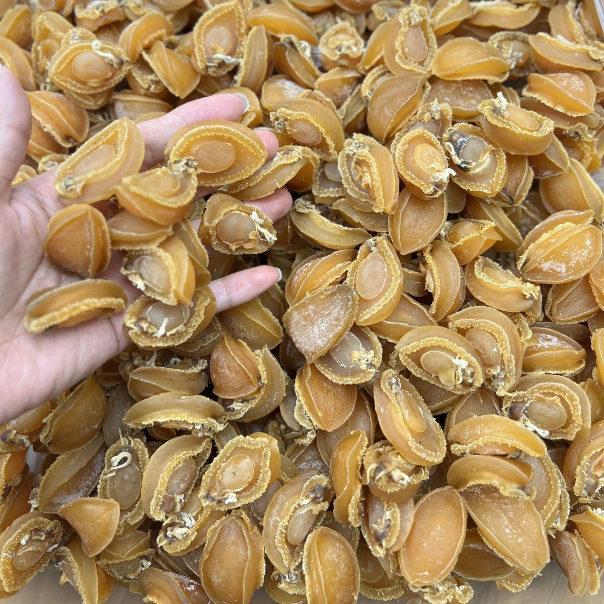 正品足干大连鲍鱼海味水产干货淡干干鲍煮粥煲汤佛跳墙食材