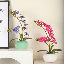 ���滨�[����������m����С���Լٻ��͏d�������P�پGֲ�b[�O