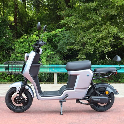 bicycle double battery car factory – Elektrikli motosikletlər - violet-