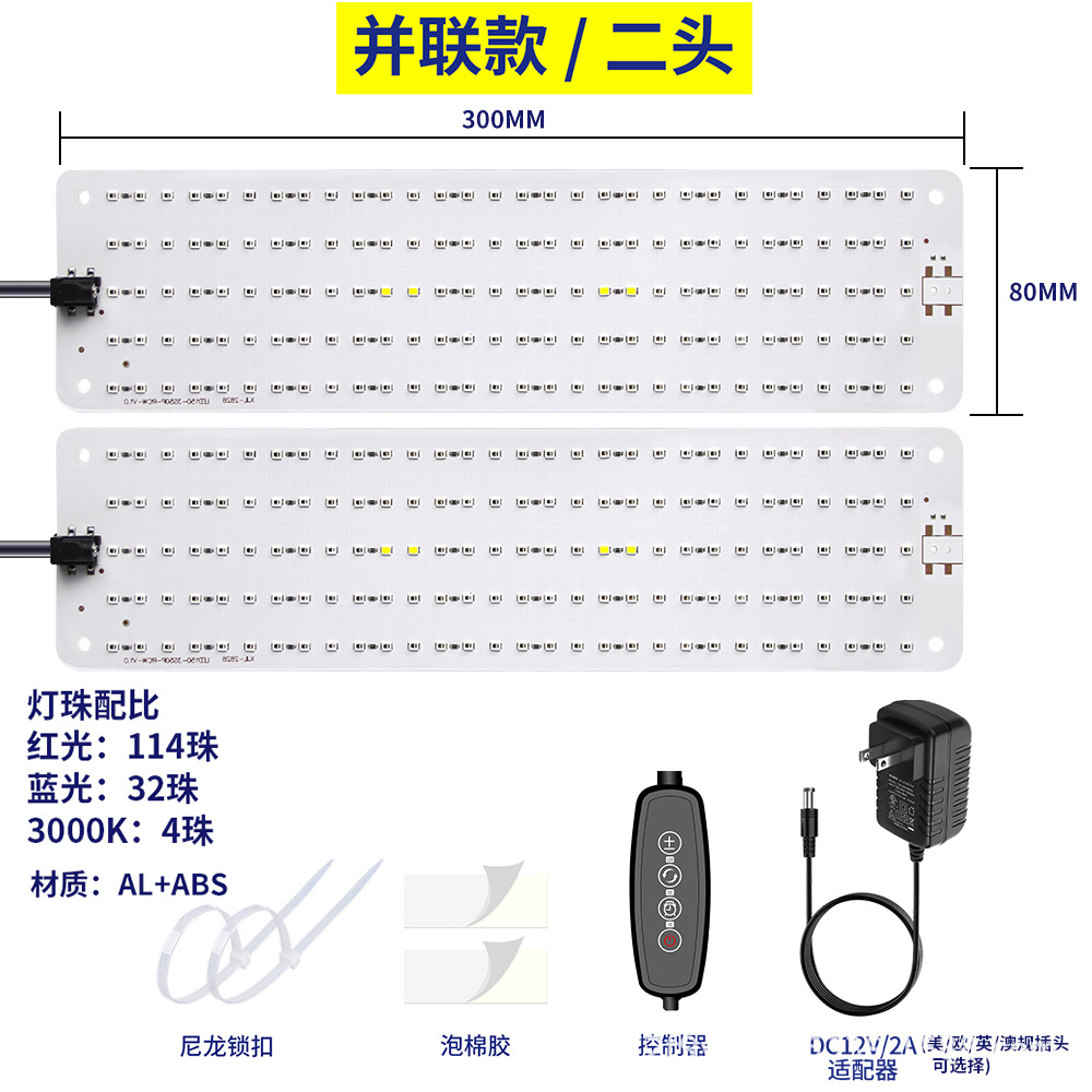 빨간색과 파란색 빛 - 미국 표준 - 두 개의 헤드