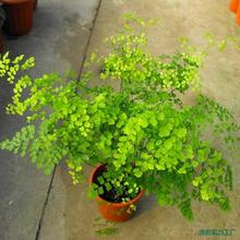 �Gֲ�������ˮ�� �F��ާ�����F�z�ݶ��������G�ݱ��^�~�G ������