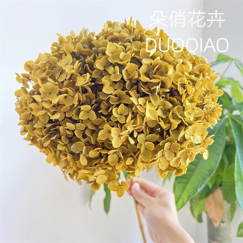 Perennial Flowers Anna Hydrangea Dried Flower Wholesale Bouquets Home Decor Ornaments Cafe Bar Table Centerpieces