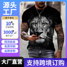 ŷ���ļ���ʿ��ó�羳�������� ����ͷ��3dӡ��t����Բ���������