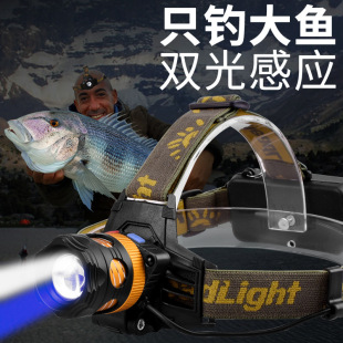 ��~��ҹ��{���p��Դ�Б��^�� ��늷�ˮ׃��LED�^��ʽ�Ͳ������