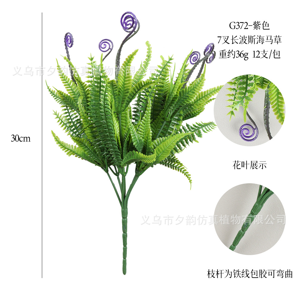 G372-보라색 7갈래 해마풀