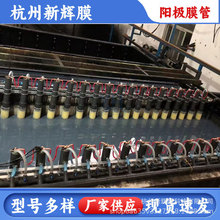 ꖘO���ӾꖘOĤ�� ��ʽꖘO �ߴ�y�� �S��ֱ�N ���lꖘO��