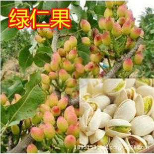 �̹��_�Ĺ��������Ե��� ����Y���޽ӹ��������� �Ϸ������Nֲ