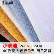 现货全涤单面小泰迪绒布料圈圈绒泰迪毛玩具熊睡衣沙发垫面料批发