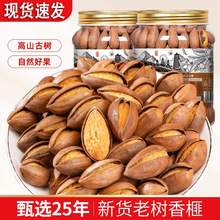 ��؛��������l��鼹�250g�Թ�ɢ�b���e��ʳ�S���T���خa�ɹ����b