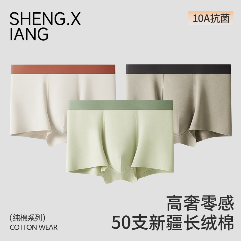 [10A Antimicrobial] Men's Underwear Class A Xinjiang Cotton Cotton Breathable Four-Corner Boys Shorts New Flat-Bottom Pants