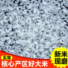 东北大米2023年新米10斤稻花香五常5kg香米圆粒珍珠米香米长粒香