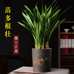 �m������ī�m�����ɰ���m���҃��ļ����Bֲ��͏d�k�������F�辰