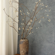 С׹ɻ֦޸֦ɹb廨L滨