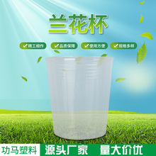 ͸���m�������l���籭����P�Nֲ�����¼���͸��Nֲ��ظ���Ѩ�P