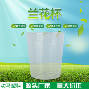 ͸���m�������l���籭����P�Nֲ�����¼���͸��Nֲ��ظ���Ѩ�P