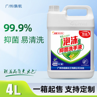 Lianyi Foam Antibacterial Hand Sanitizer Hotel Hand Sanitizer Wholesale Fragrance Hand Sanitizer Large Barrel Large Capacity Bhe003-1