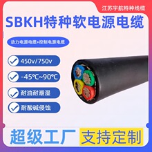SBKH ��ܛ�طN�����w�^���طN��ĥ�����w�o���Դ��|