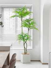 植物蓝花楹盆栽假绿植装饰室内客厅轻奢仿生绿植摆件落地