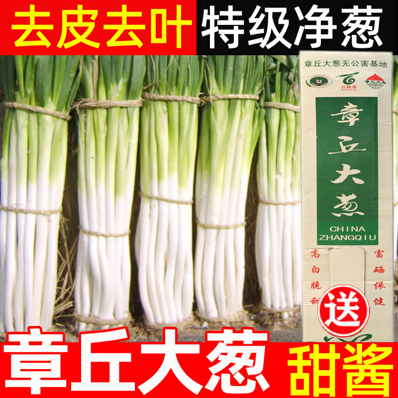 Fresh Green Onions from Zhangqiu, Shandong 5kg Free Sweet Sauce Green Onions 2.5kg Crispy Non-Round Onions Northeast Red Onions
