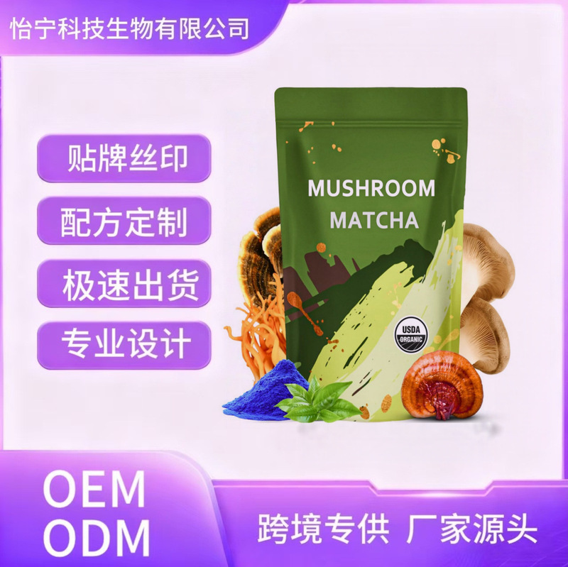 Mushroom Matcha Mushroom Coffee Is a Healthy Drink with Added Functional Mushroom Extracts