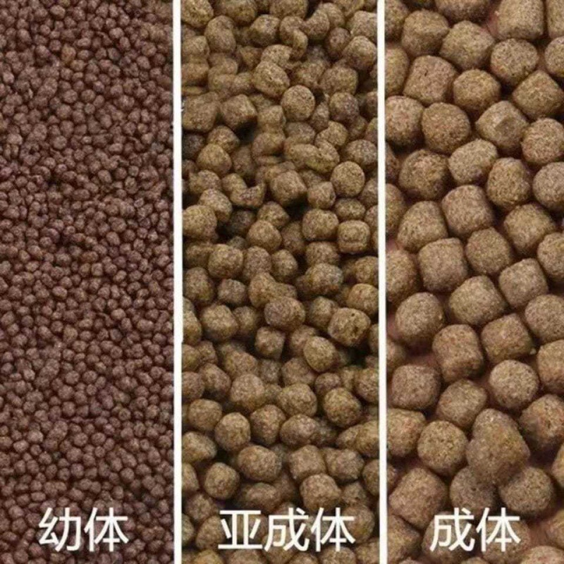 Red-eared feed Terrapins Turtle Food Young turtle Opening Pet turtle Calcium supplement Soft shell Turtles feed Turtle Food