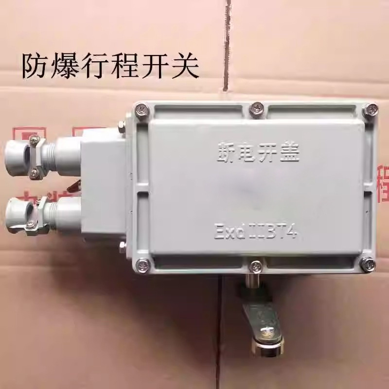 防爆行程开关BLX11 LX510-12 BLXK501-10 LX510-32重锤开关1-12
