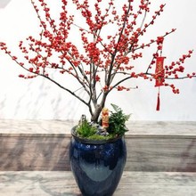 Ԙ玧tϲcͥԺeͺֲGֲ