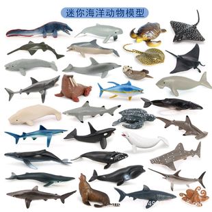 �羳�������㺣��С����ģ���L�~���~���ຣ�����{����������l
