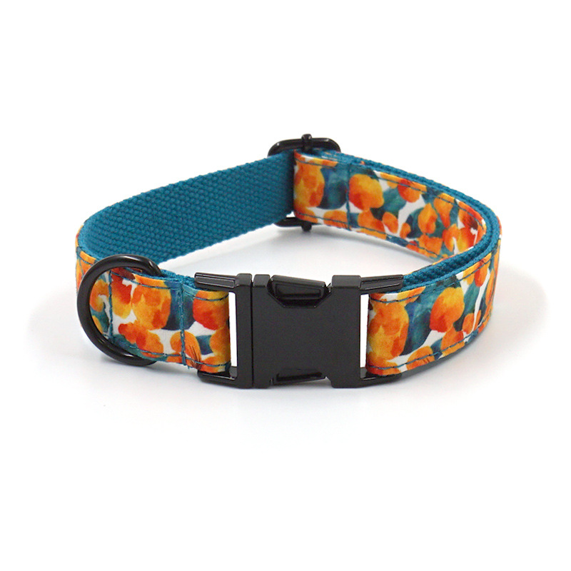 2021新款宠物用品狗项圈黑扣跨境电商宠物脖圈可刻字一件代发