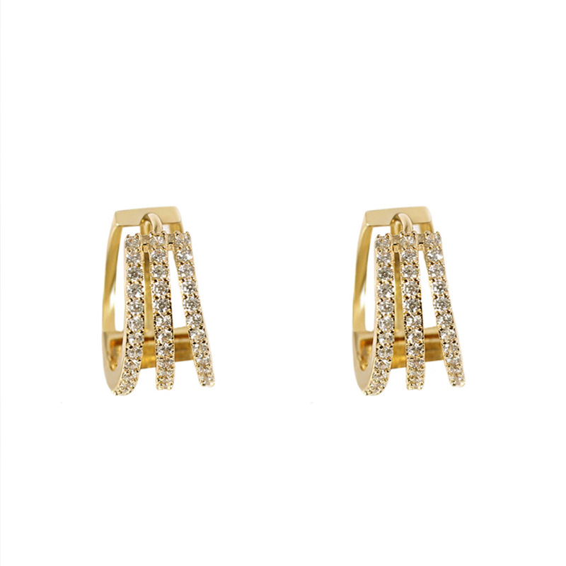 Elegant Earrings