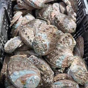 ����ʯ�Q�� �U�~�� ��Ʒ��ș��ʯ�Q�� �U�~�� ǧ���