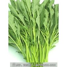 ժL~{˷Nӿߜ{˷Nļ͝ͺ