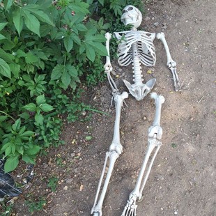 ?�ֲ����t���^�������҈��ز������ϵ��� �S��ֱ�N�f�}�����t��