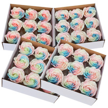 夜光花七彩 夜光花七彩品牌 图片 价格 夜光花七彩批发 阿里巴巴