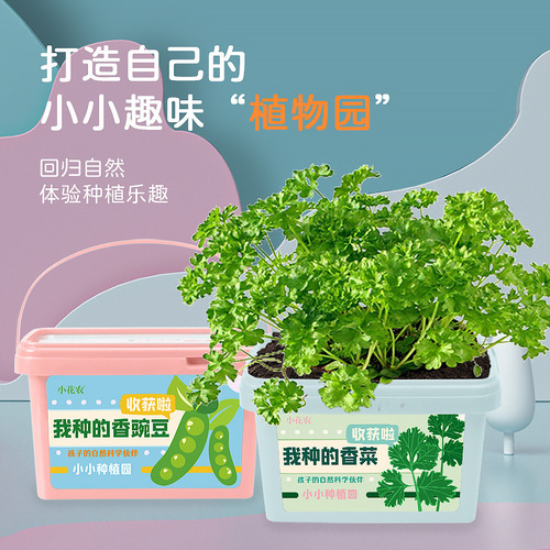 Kindergarten scientific planting educational early education toys small flower farmer student plantation DIY planting small potted gift