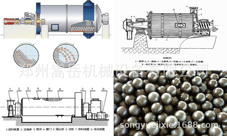 3637104155_1011062876