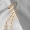 Silver needle, fresh earrings with tassels, silver 925 sample, double wear