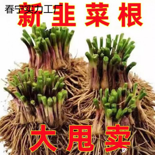 ��²˸��N��ʳ���w���Ų��҃����߲˿����Ի������ϸ�